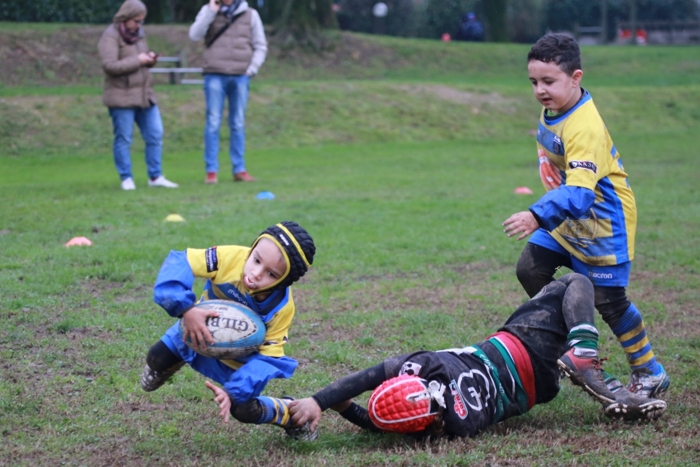 Rugby Frassinelle: positivo il concentramento minirugby giocato in casa del Cus Padova