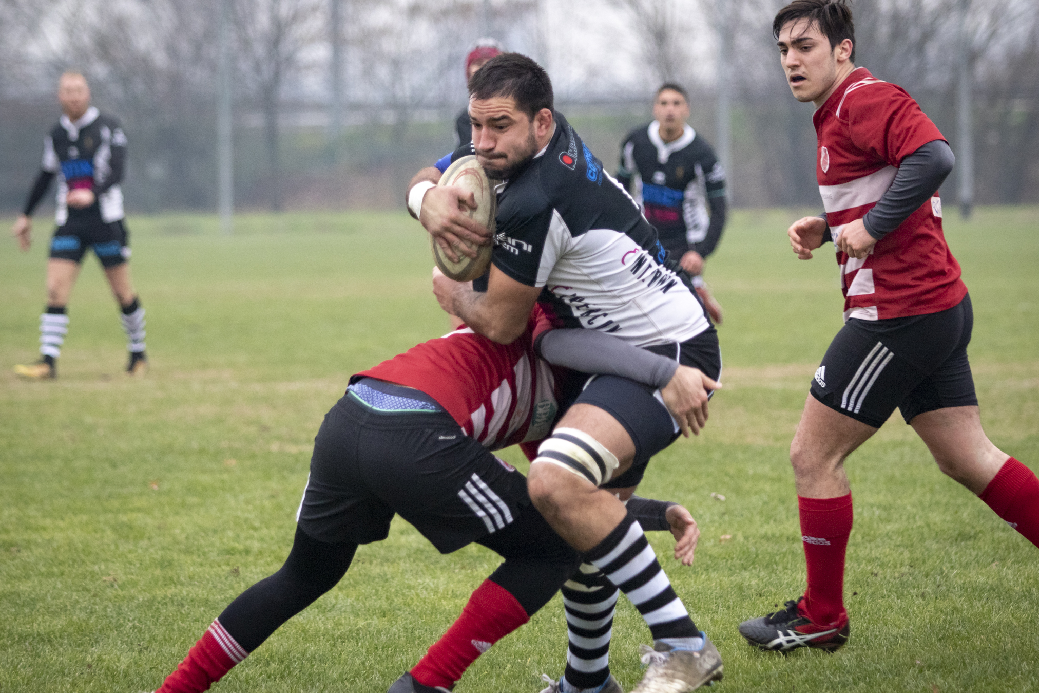 La formazione cadetta dei Lyons Piacenza inizia la seconda fase, promozione in serie B l’obiettivo
