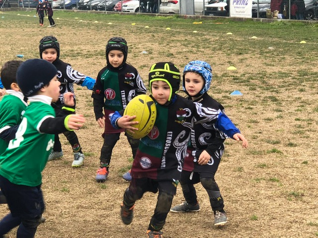 Resoconto Etruschi Livorno under 6