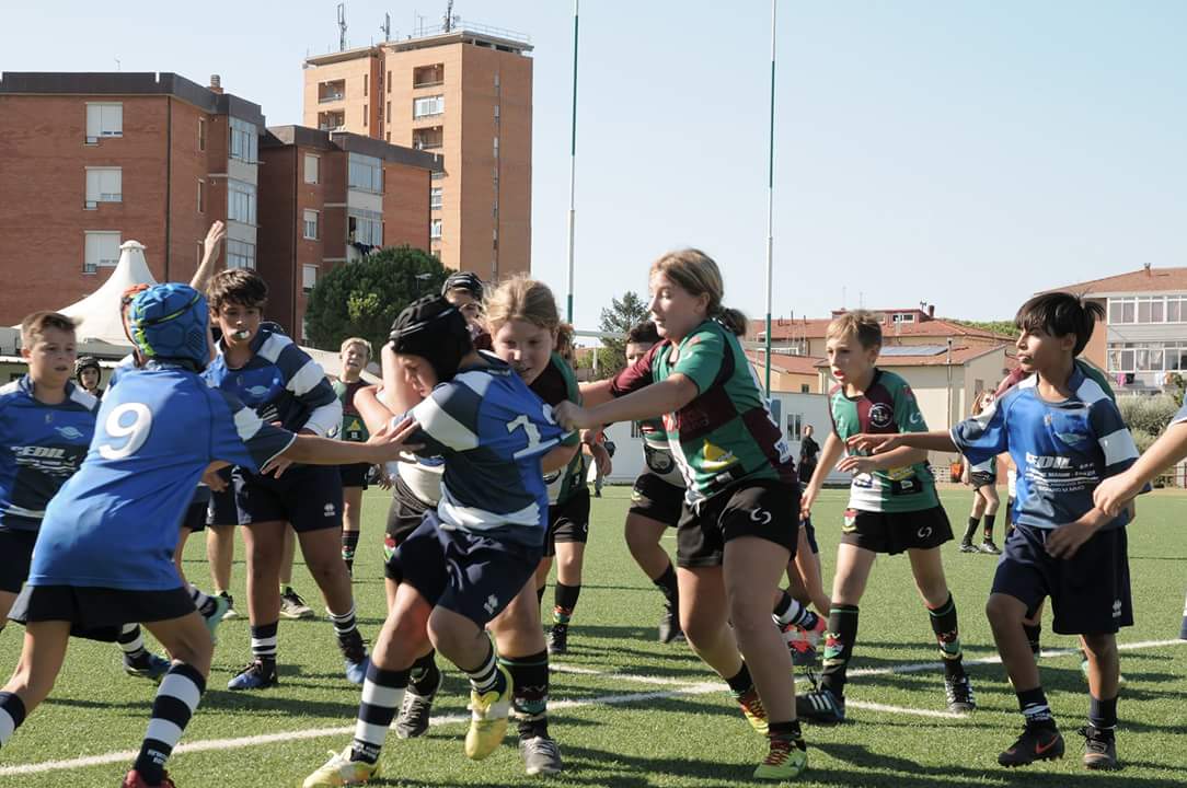 Etruschi Livorno: segnali positivi dalle giovanili della società livornese