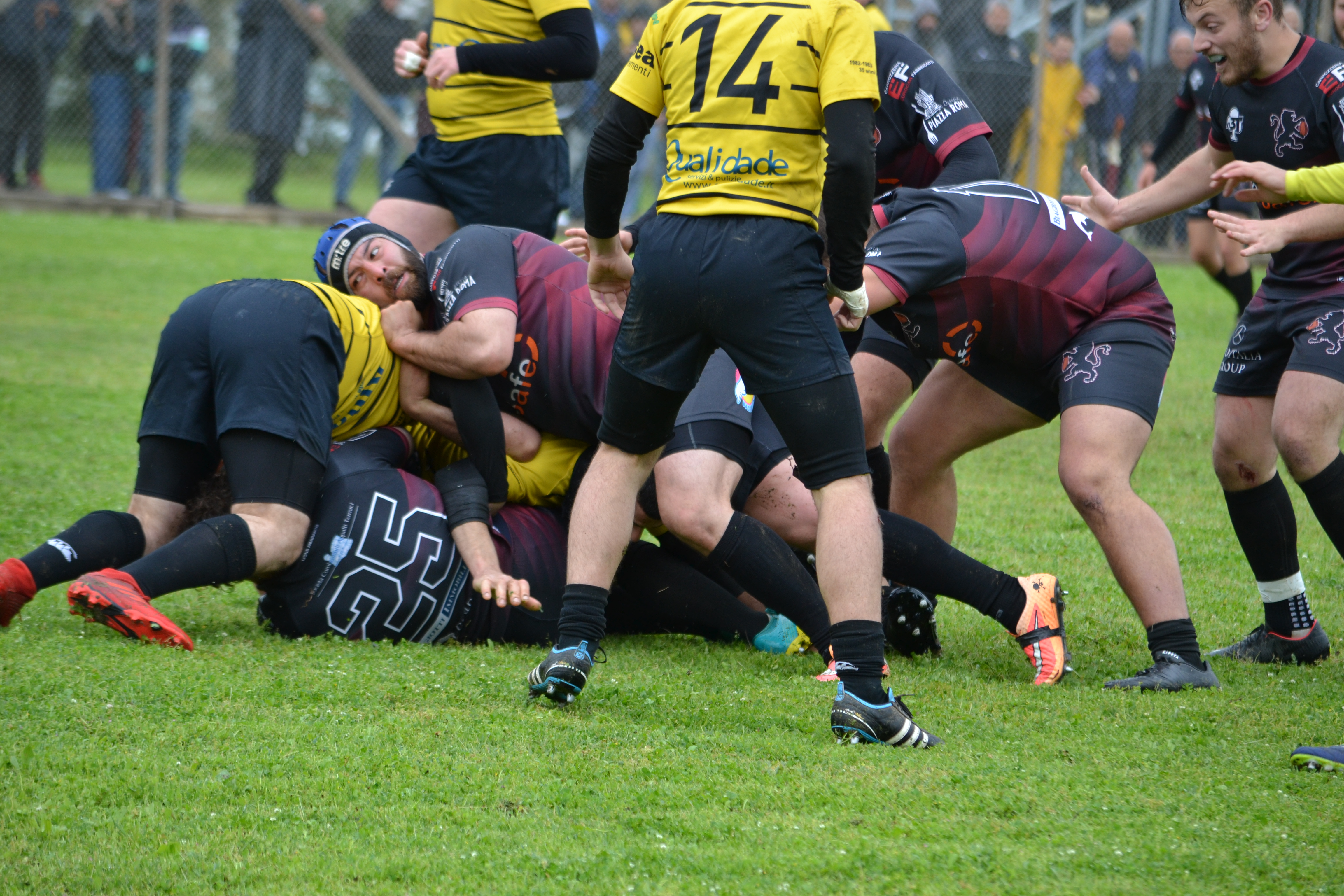 I Lions Amaranto si stanno preparando ad affrontare il prossimo campionato di serie B