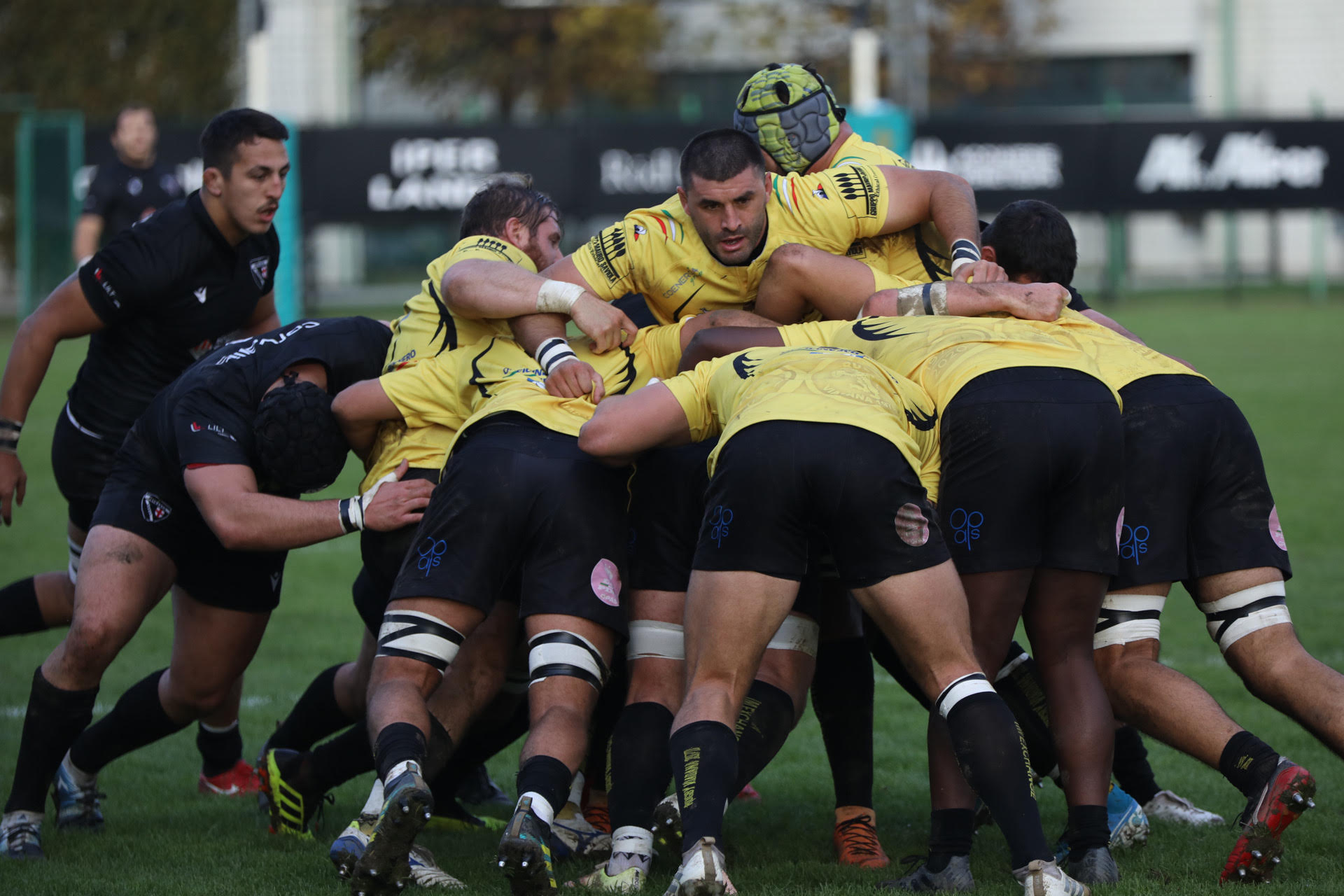 Peroni TOP12, IV giornata: il Petrarca vola in testa in solitaria