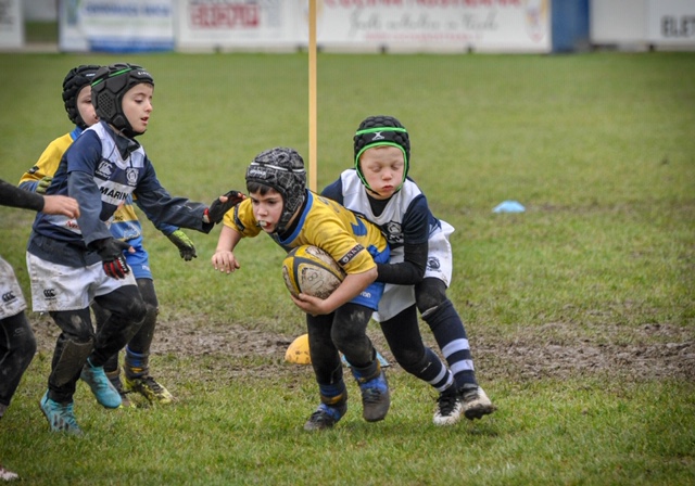 Ultimo impegno dell’anno positivo per il minirugby del Frassinelle