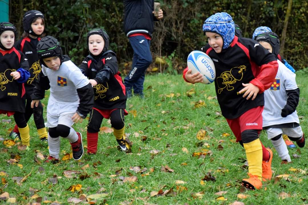 Pesaro: il minirugby torna in campo