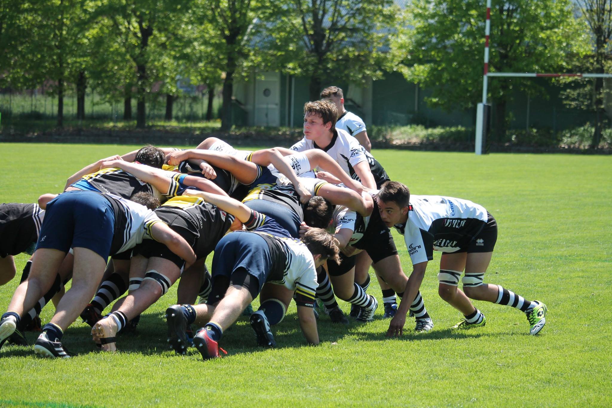 Ritorno in campo per le giovanili dei Lyons Piacenza