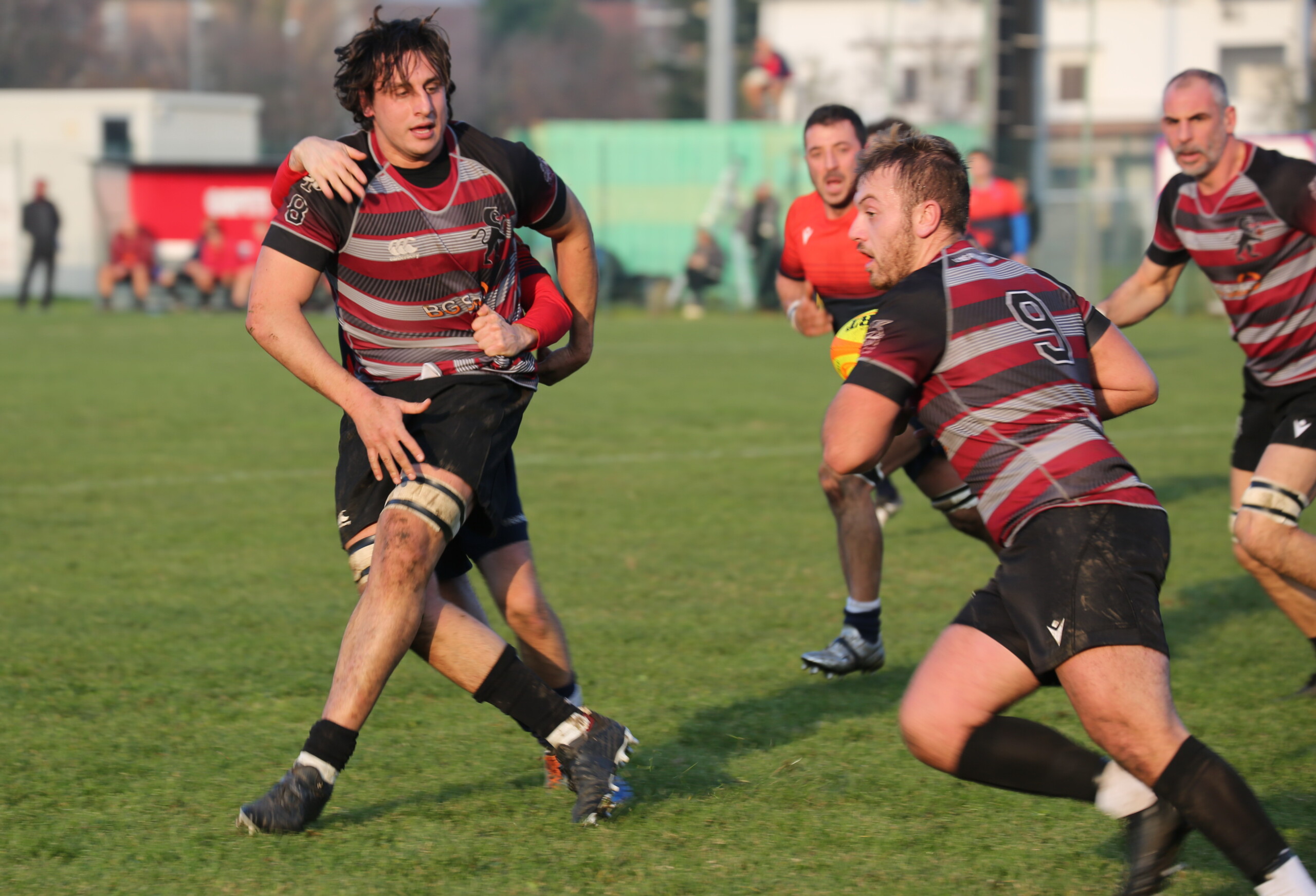 Lions Amaranto Livorno. La situazione. 5 vittorie in 6 incontri e il 9 gennaio il recupero del match interno con il CUS Siena