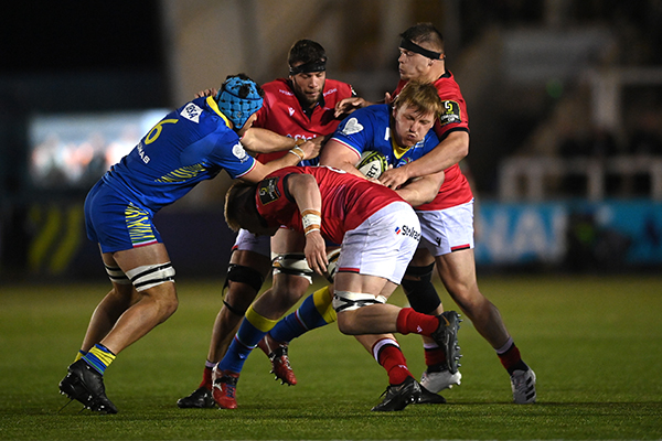 Zebre a un passo dalla vittoria: i Newcastle Falcons segnano allo scadere e salgono al secondo posto del Girone A di Challenge Cup