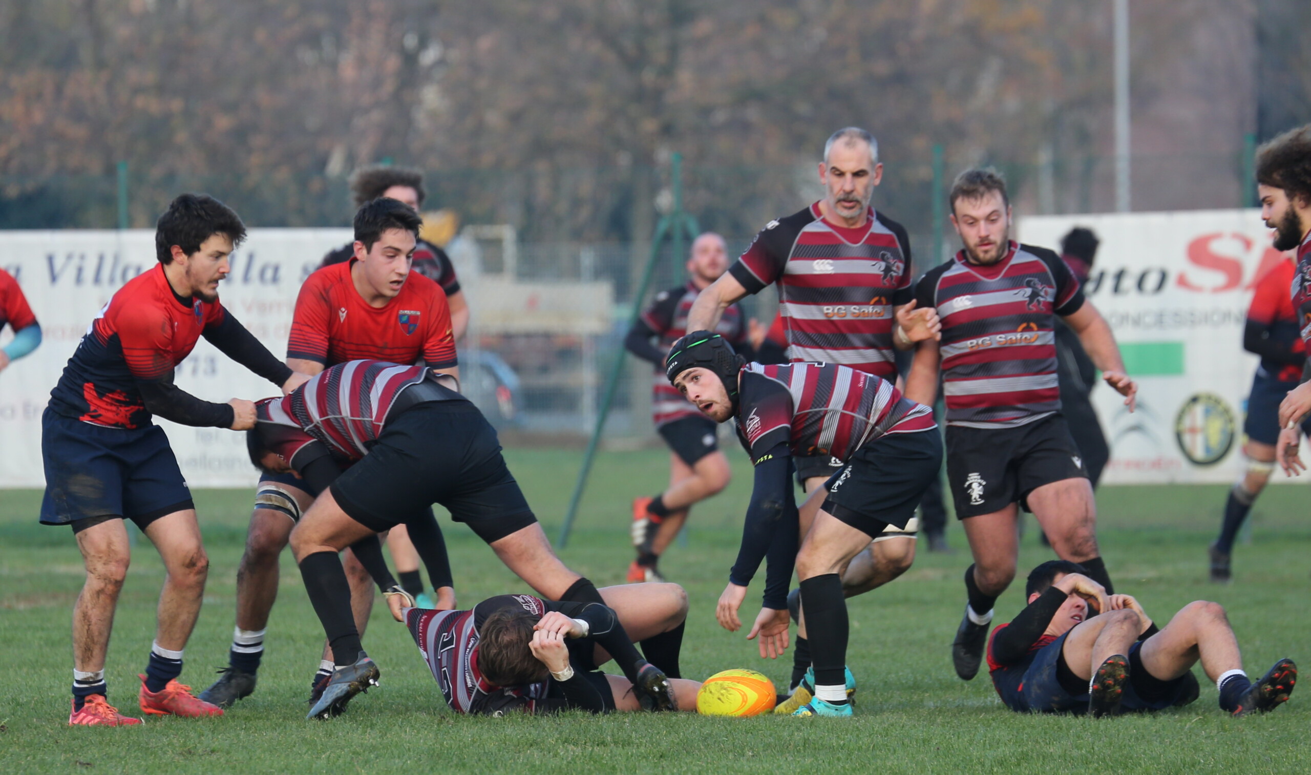 I Lions Amaranto sfidano Imola