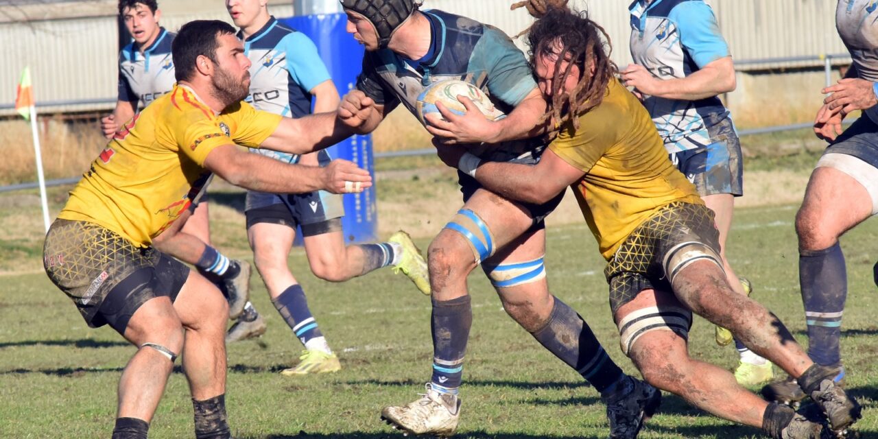 Vittoria per l’IVECO CUS Torino sull’Alghero Rugby