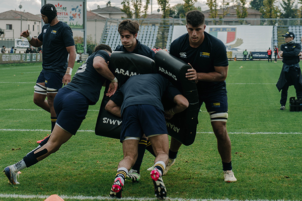 Bollettino medico Zebre Parma