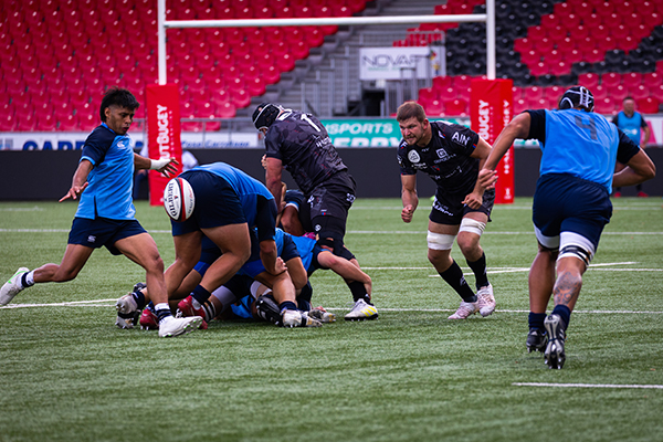 Zebre e Oyonnax in campo il 22 agosto in gara amichevole