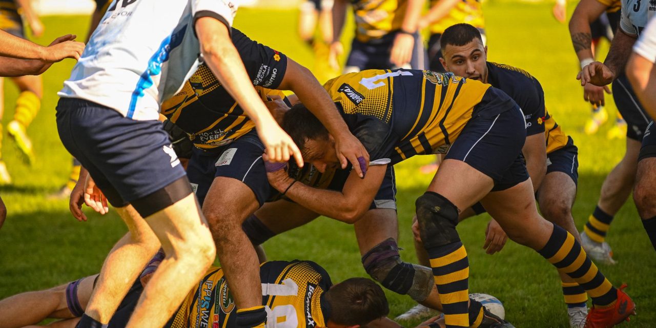 Rugby Belluno: Ty Sterry è il nuovo DIrector of Rugby