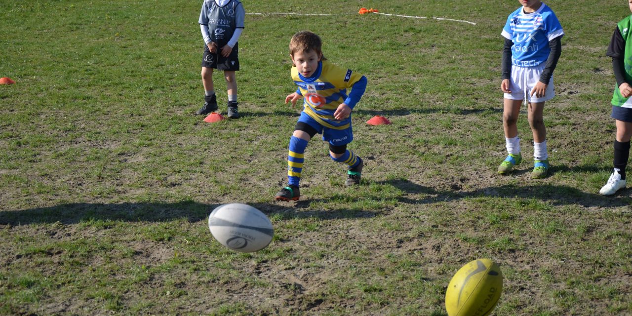 Il minirugby del Frassinelle ben si comporta nella festa di Verona