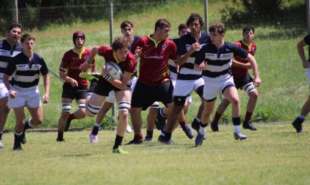U18: I Lions Livorno cadono in casa contro Bologna